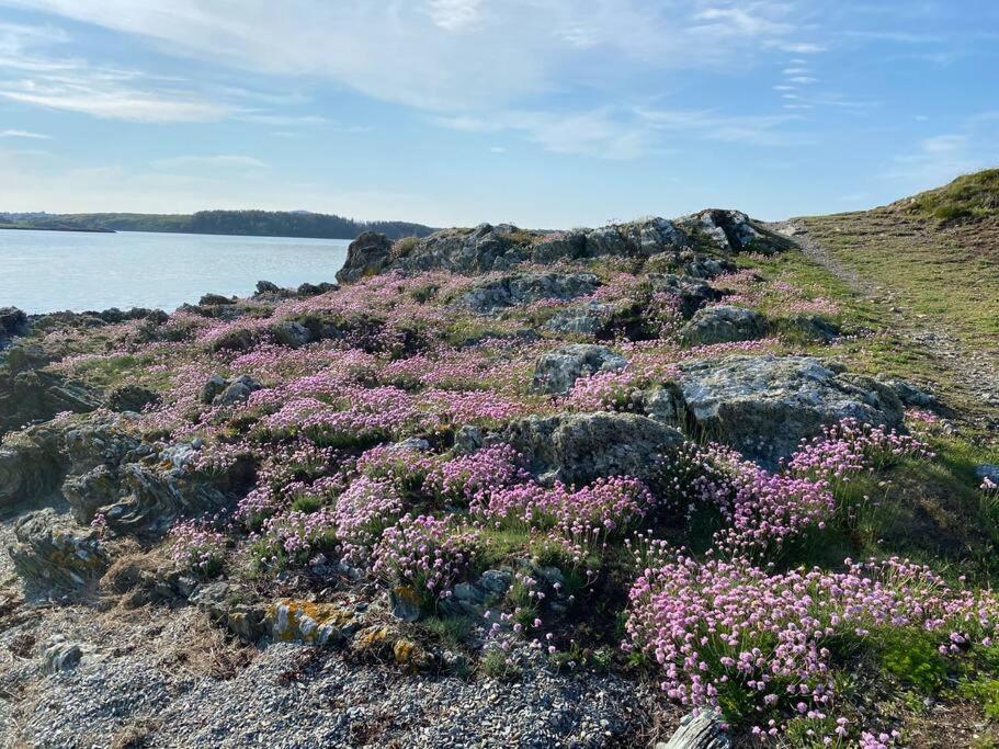Entire Guest Suite In Four Mile Bridge, Rhoscolyn Valley Exteriér fotografie